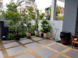 Serangoon Garden Estate (D19), Semi-Detached #558252831